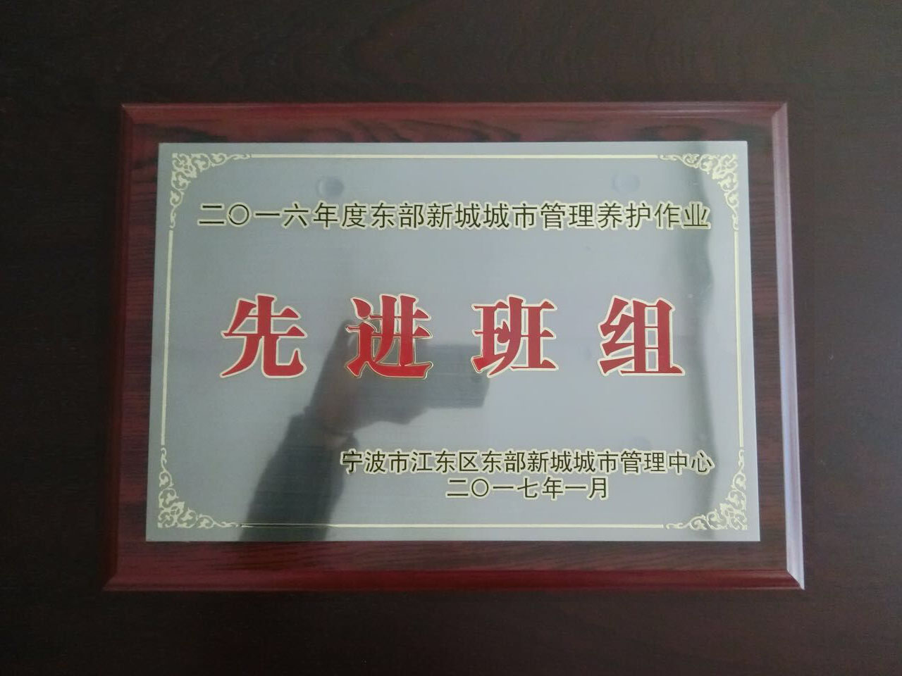 2016年度东部新城城市管理养护作业先进班组