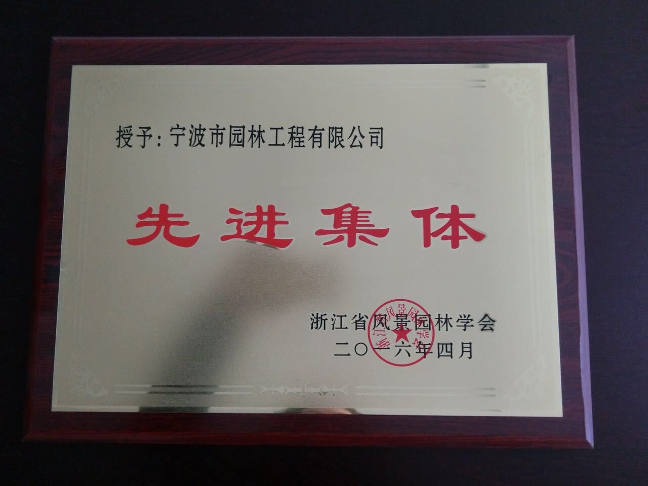 先进集体
