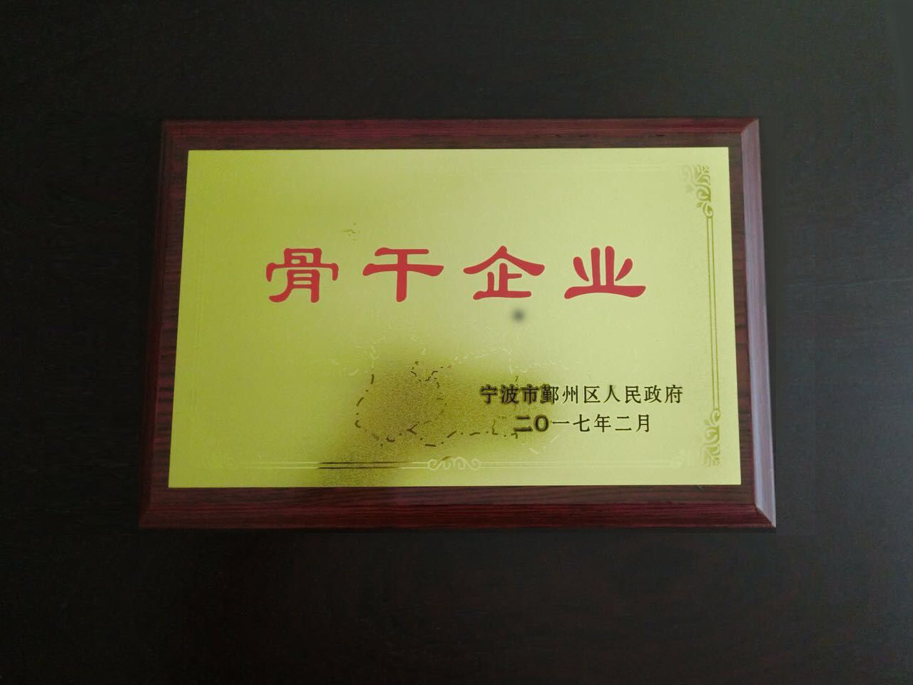 骨干企业